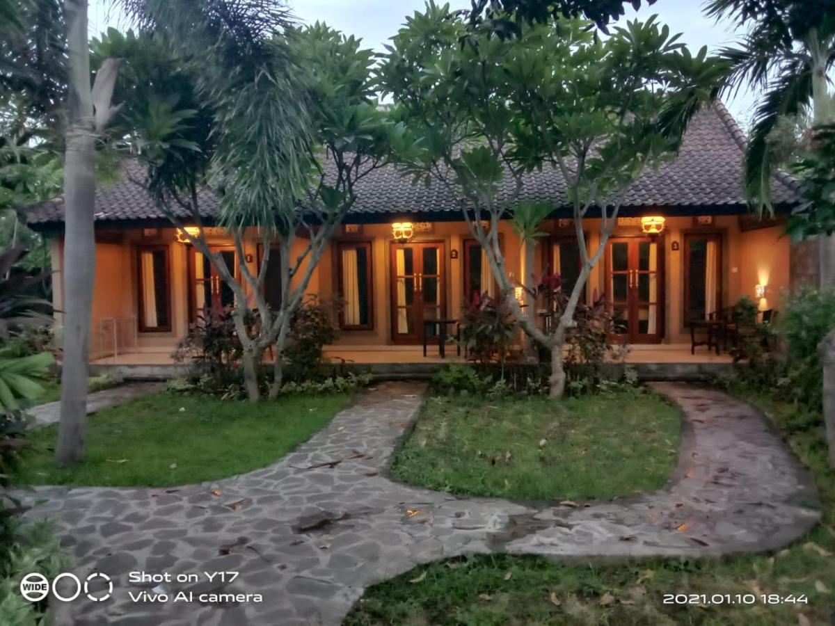 Tirta Bali Homestay Pemuteran Buitenkant foto