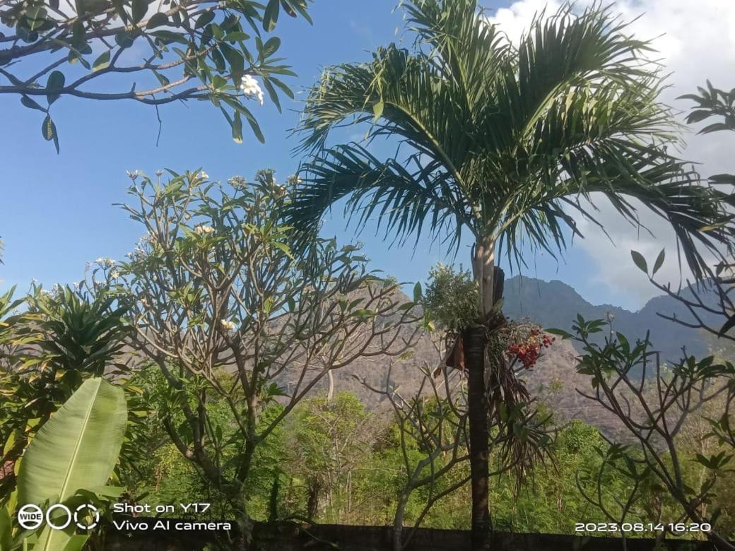 Tirta Bali Homestay Pemuteran Buitenkant foto